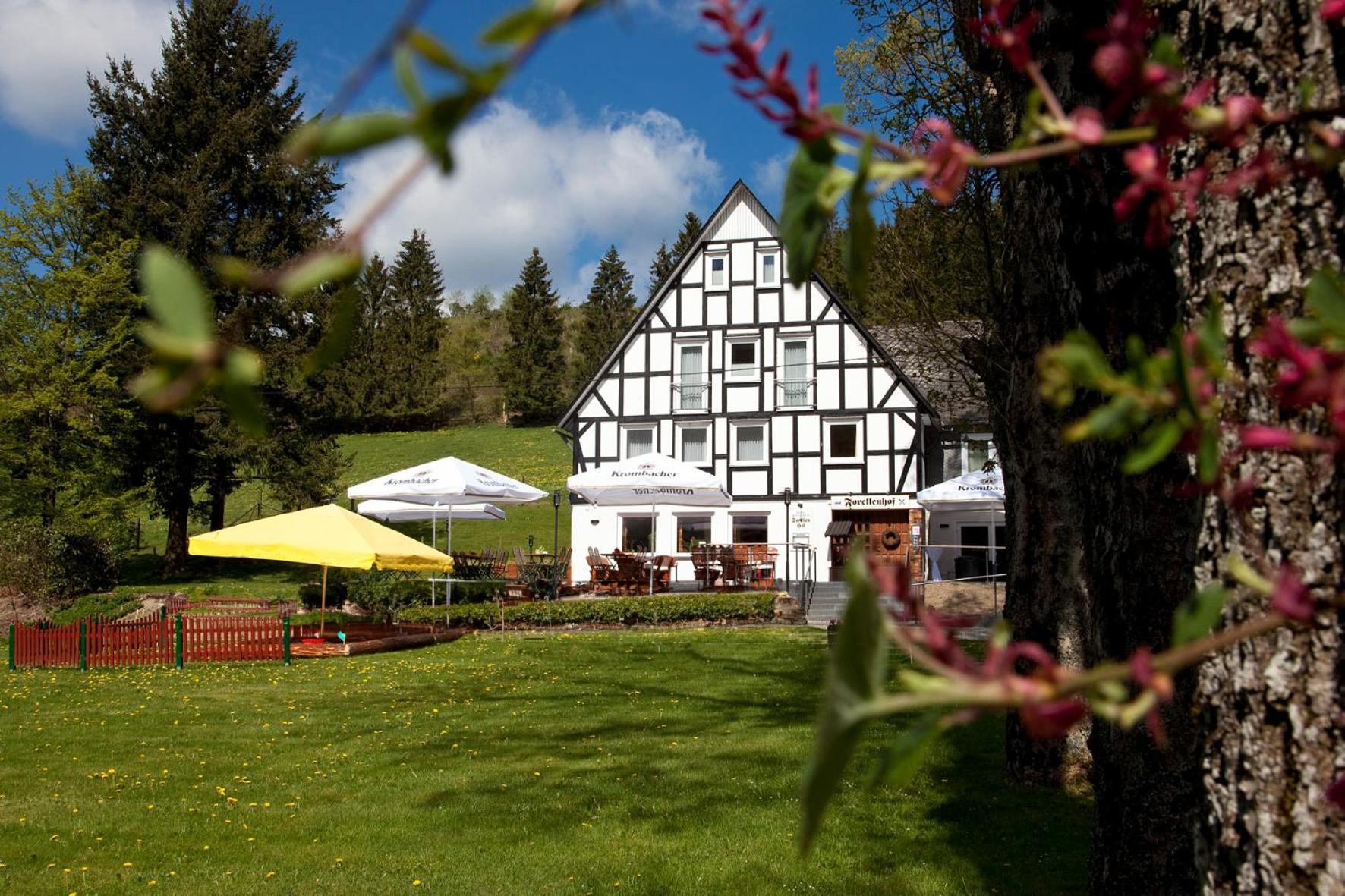 Forellenhof Wald- Und Wiesenquartier Bad Berleburg Exterior foto